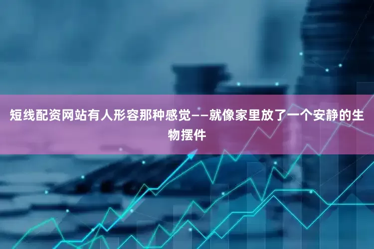 短线配资网站有人形容那种感觉——就像家里放了一个安静的生物摆件