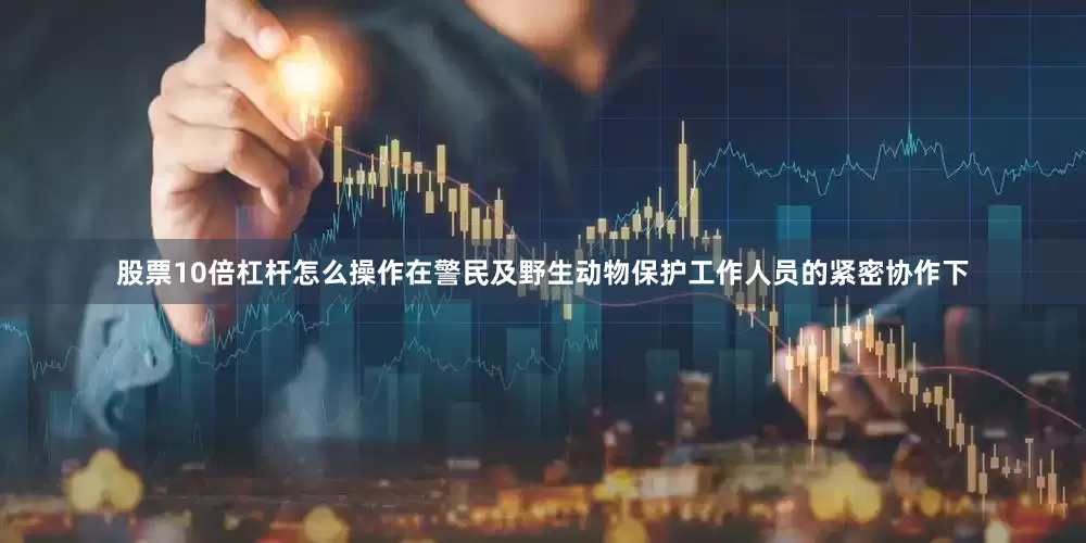 股票10倍杠杆怎么操作在警民及野生动物保护工作人员的紧密协作下