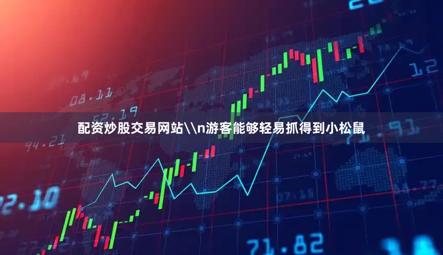 配资炒股交易网站\n游客能够轻易抓得到小松鼠