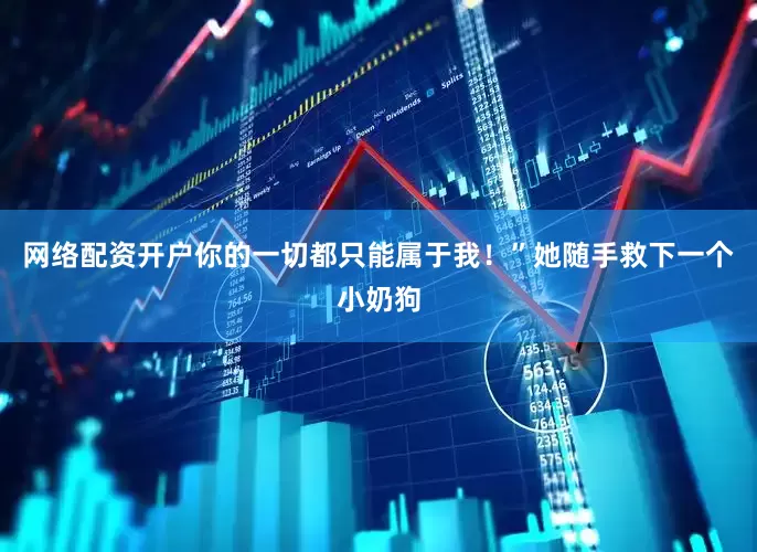 网络配资开户你的一切都只能属于我！”她随手救下一个小奶狗