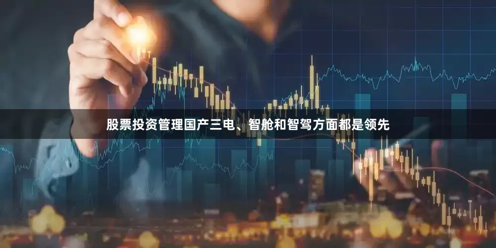 股票投资管理国产三电、智舱和智驾方面都是领先