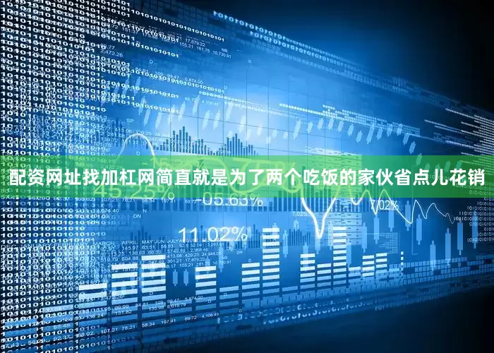 配资网址找加杠网简直就是为了两个吃饭的家伙省点儿花销