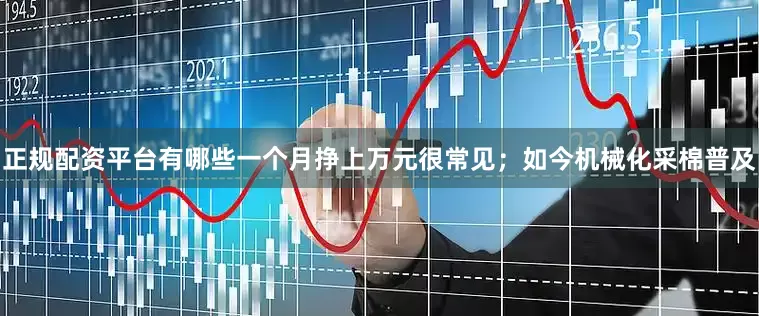 正规配资平台有哪些一个月挣上万元很常见；如今机械化采棉普及