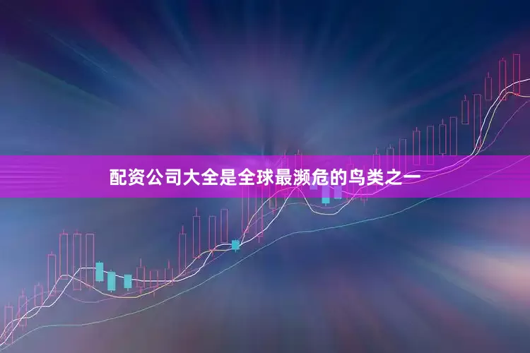配资公司大全是全球最濒危的鸟类之一
